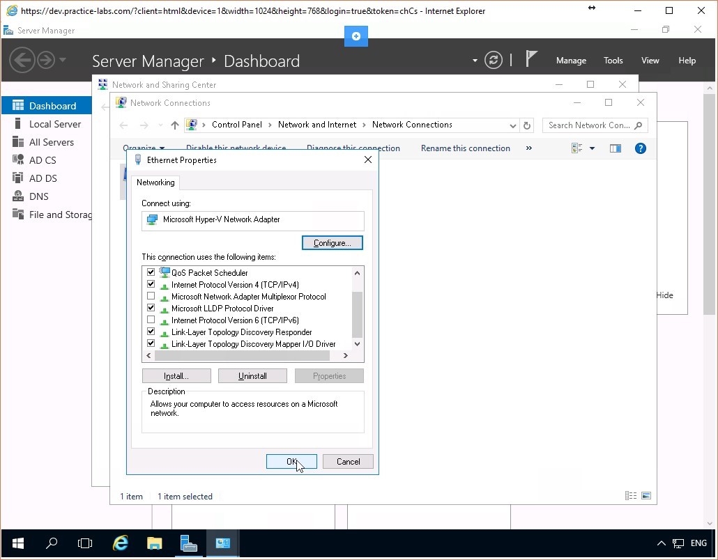 Figure 1.5 Screenshot of the PLABDC01 desktop